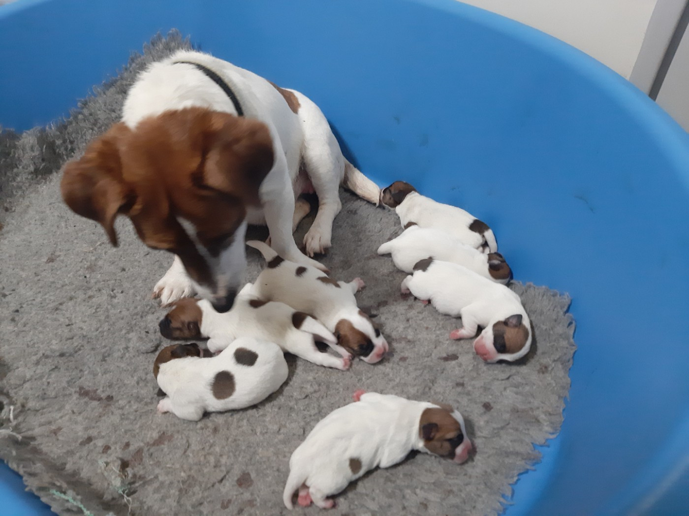 nouvelles naissances